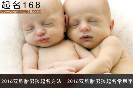 2016双胞胎男孩起名方法 好听的双胞胎男孩名字