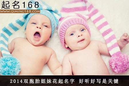 2014双胞胎姐妹花起名字 好听好写是关键