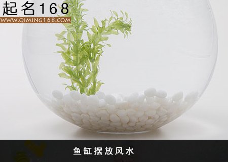 鱼缸摆放风水