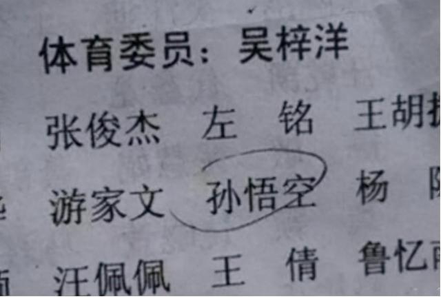 学生姓“程”，名字读出来引人捧腹大笑，学生委屈：都怪我妈追星