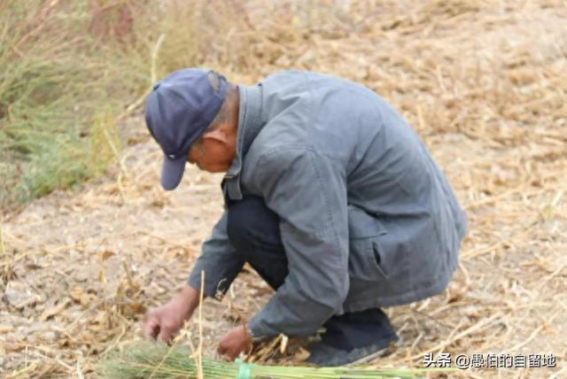 纪实：舅舅和同村的一个女人离家出走，25年后回来时，已病入膏肓