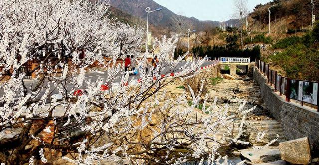 绿树村边合，青山郭外斜，带你“云游”威海十大名村