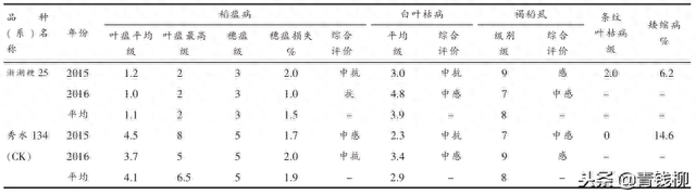 优质晚粳稻浙湖粳 25 的品种特性及栽培技术