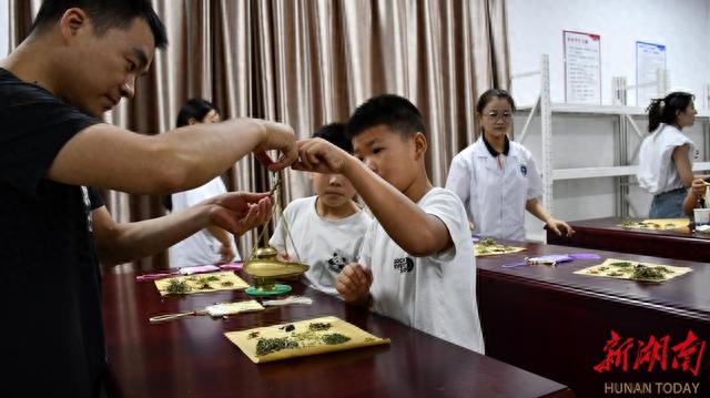 中医馆里“看学做”：这场社会实践种下了传统文化种子