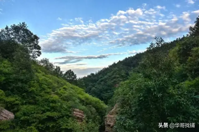 鲁山下汤深山里花菇原宿民宿登场