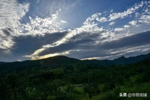 鲁山下汤深山里花菇原宿民宿登场