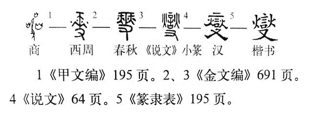 《说文解字》548课：民国时，为什么那么多人起名叫“曼”？