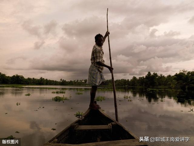 说文解字：快速分清“蒿，嵩，篙”，青蒿素并不是来自青蒿草