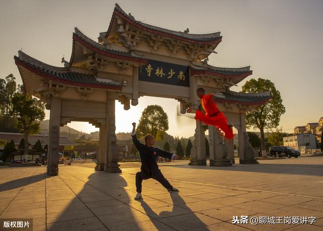 说文解字：快速分清“蒿，嵩，篙”，青蒿素并不是来自青蒿草