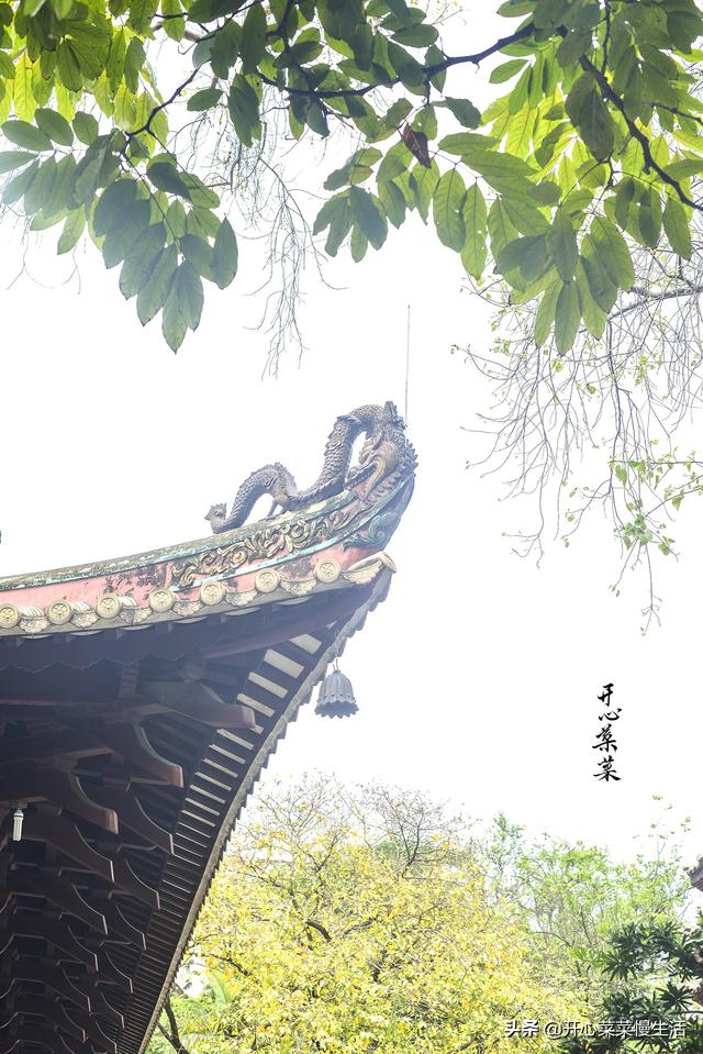 广州最红火的寺庙，来自于几千年前的一座宅院，面积不大名气却大