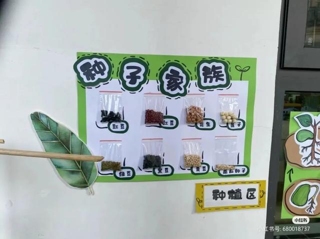 幼儿园植物角创设指南，让幼儿对春天充满美妙的期待！