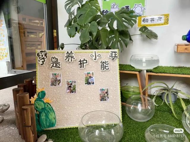 幼儿园植物角创设指南，让幼儿对春天充满美妙的期待！