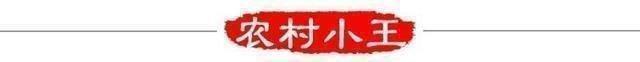 乡村文化之“起外号”，你是否有个响亮的小名？