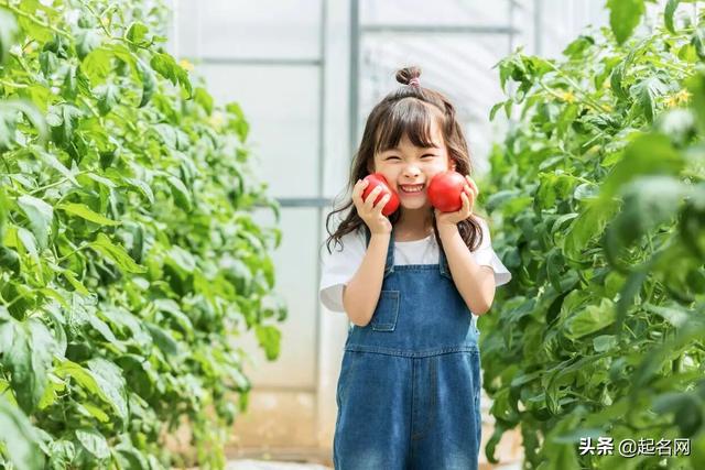 清隽出尘、仙气飘飘的女孩名，干净温柔，惊鸿一瞥