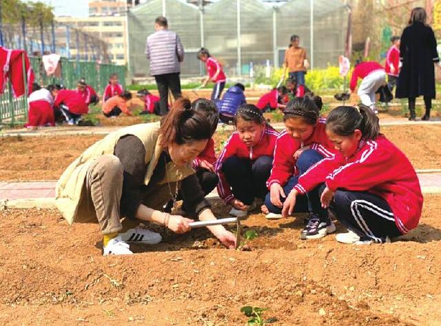 梦想小镇、蔬菜大棚、气象站……居然被学校“配齐”了 这些“别人家的学校”真令人羡慕