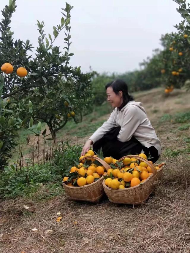 走遍宜城之––刘猴镇的传说