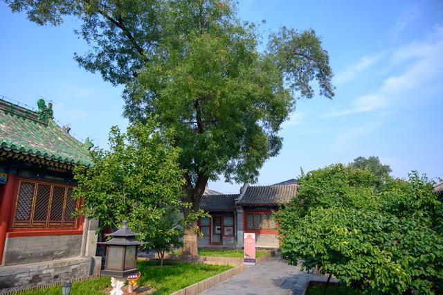 探秘北京恭王府，清代规模最大的王府花园，府邸建制堪比北京故宫