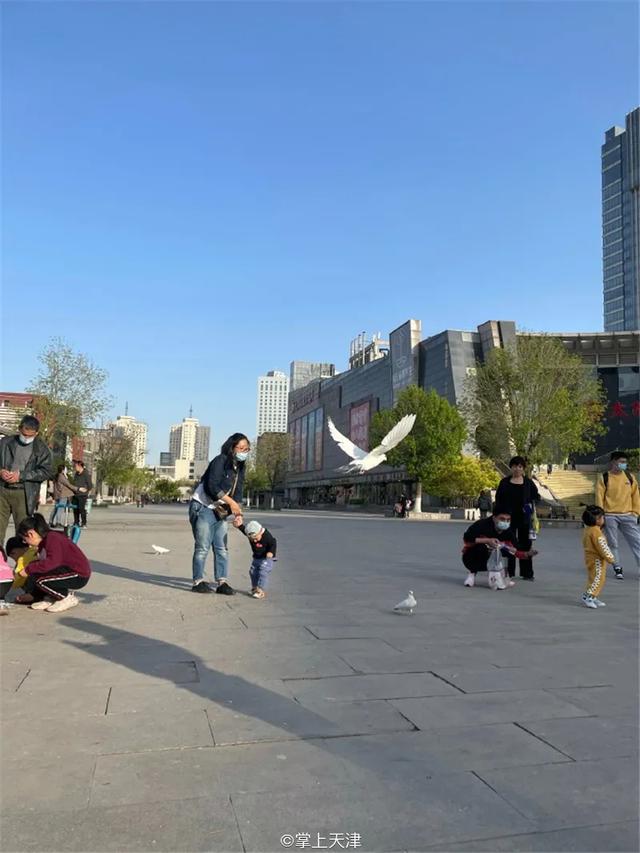 天津河北区的大悲禅院，最接地气