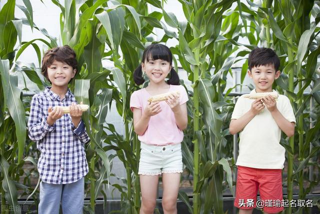 2022年给小孩起带“jin”字读音的名字，预祝锦上添花、金榜题名