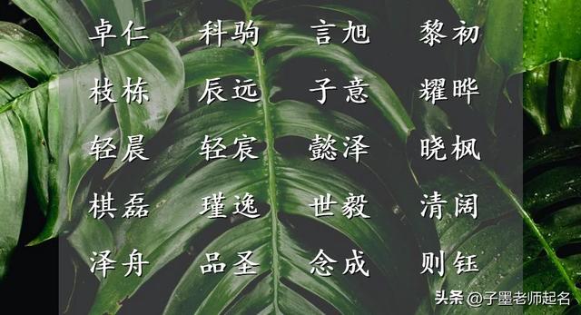 逸群之才的男宝宝，不妨参考这些仙音缥缈的名字