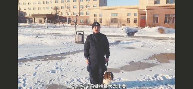 《哈尔滨警犬基地“新兵汪”入列，邀您来起名》后续，5只“新兵汪”已命名