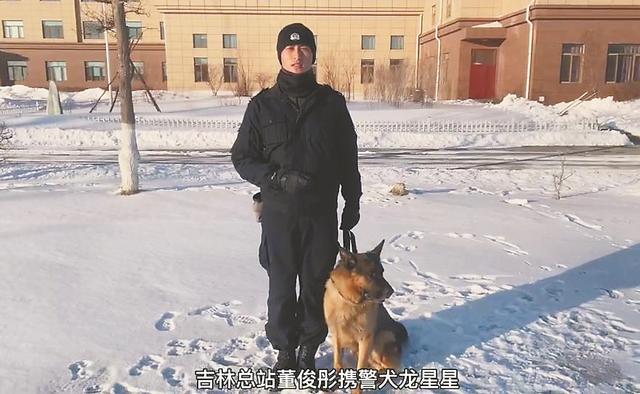 《哈尔滨警犬基地“新兵汪”入列，邀您来起名》后续，5只“新兵汪”已命名