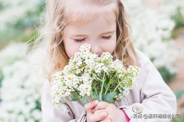 宝宝起名取名 简约时髦，吉利好听的女孩名字大全