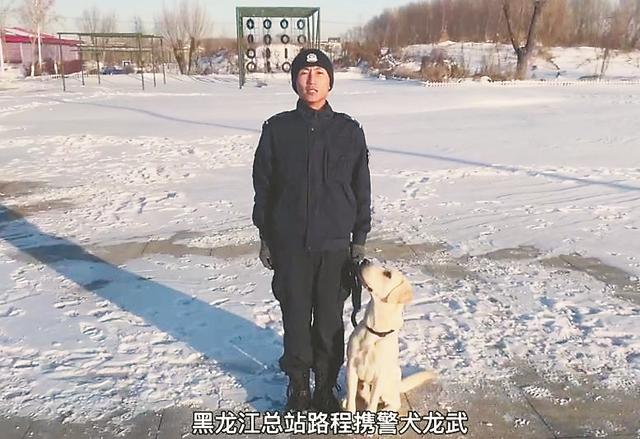 《哈尔滨警犬基地“新兵汪”入列，邀您来起名》后续，5只“新兵汪”已命名