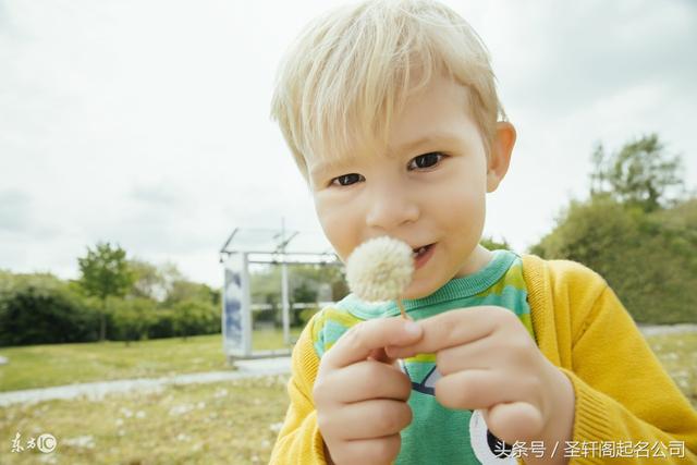 婴儿起名 适合鸡年的男宝宝和女宝宝名字大全