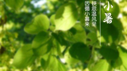 小暑，六月节，20首诗词说“小暑”