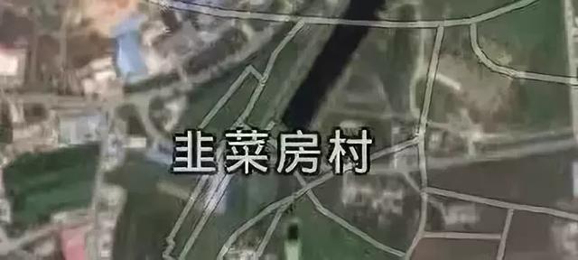 氓流、王八、母猪……这谁给你起的名字？哈哈哈哈哈哈哈哈哈哈