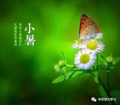 小暑，六月节，20首诗词说“小暑”