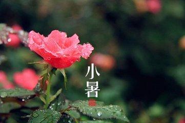 小暑，六月节，20首诗词说“小暑”