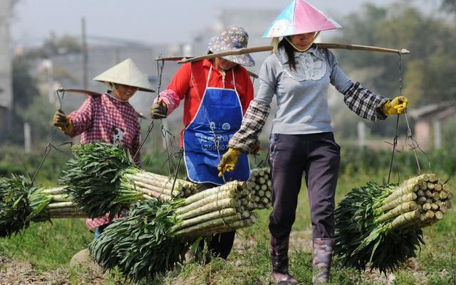 儿媳怂恿儿子卖房给她弟弟办婚事，回头又让公婆买房，婆婆拒绝了