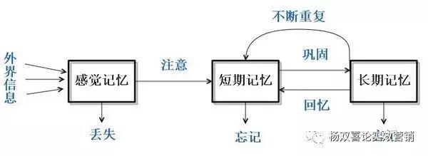 品牌名背后的3个成本法则：识别成本、理解成本、记忆成本