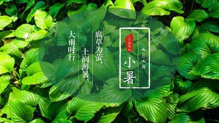 小暑，六月节，20首诗词说“小暑”