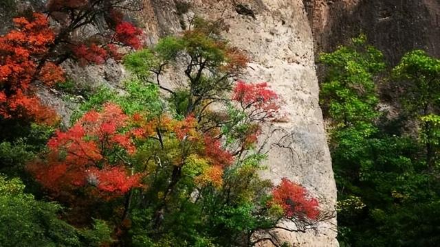 这个十一，武山全域旅游精品线路让你玩转武山