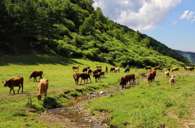 这个十一，武山全域旅游精品线路让你玩转武山