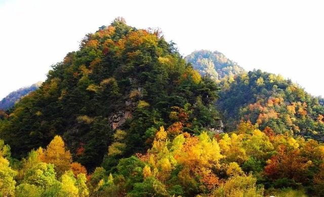 这个十一，武山全域旅游精品线路让你玩转武山