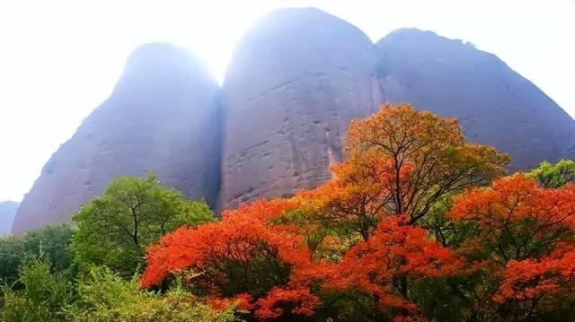 这个十一，武山全域旅游精品线路让你玩转武山