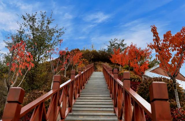 这个十一，武山全域旅游精品线路让你玩转武山