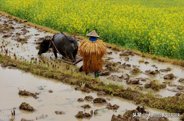 绵竹王家林：凌真珍和王诗文的爱情，演绎着湖广移民的光荣与梦想