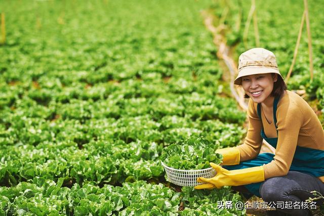 农业公司起名攻略，轻松解决起名难题