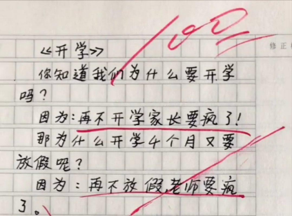 小学生作文《名字》火了，宝爸为双胞胎机智取名，获老师满分点赞