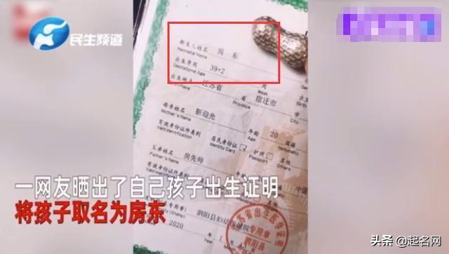 爸爸姓“赵”，给儿子起名绝了，网友：家人还是仇人？