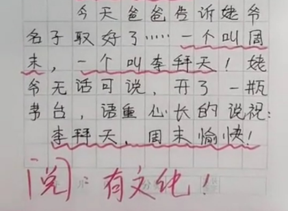 小学生作文《名字》火了，宝爸为双胞胎机智取名，获老师满分点赞