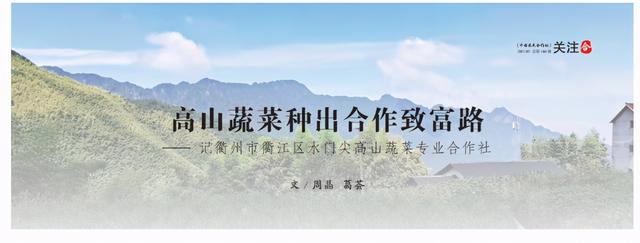 高山蔬菜种出合作致富路——记衢州市衢江区水门尖高山蔬菜专业合作社