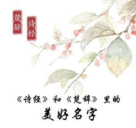 姓“蒋”爸爸给女儿取完名字后，妈妈说再也不用担心孩子学习差