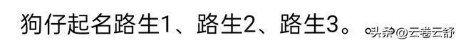 哇塞！狗子在高速堵到生狗仔，网友：这也太牛了吧！