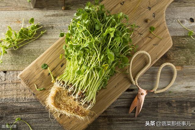 菜豆、豇豆、扁豆、四季豆……强大的豆角家族，它们到底谁是谁？